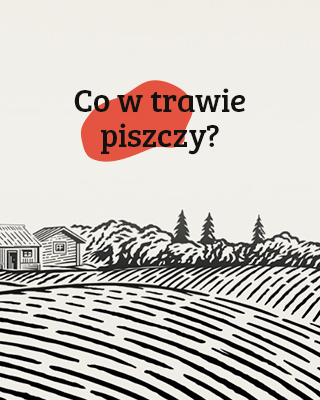 Co w trawie piszczy?